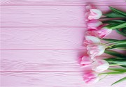 Фотофон "Розовая доска с тюльпанами". Размер А4  