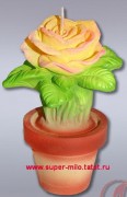 Роза чайная в горшке, Силиконовая форма 3D