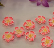 Кабошоны "Гавайские цветы"  20мм