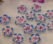 Кабошоны "Гавайские цветы"  20мм